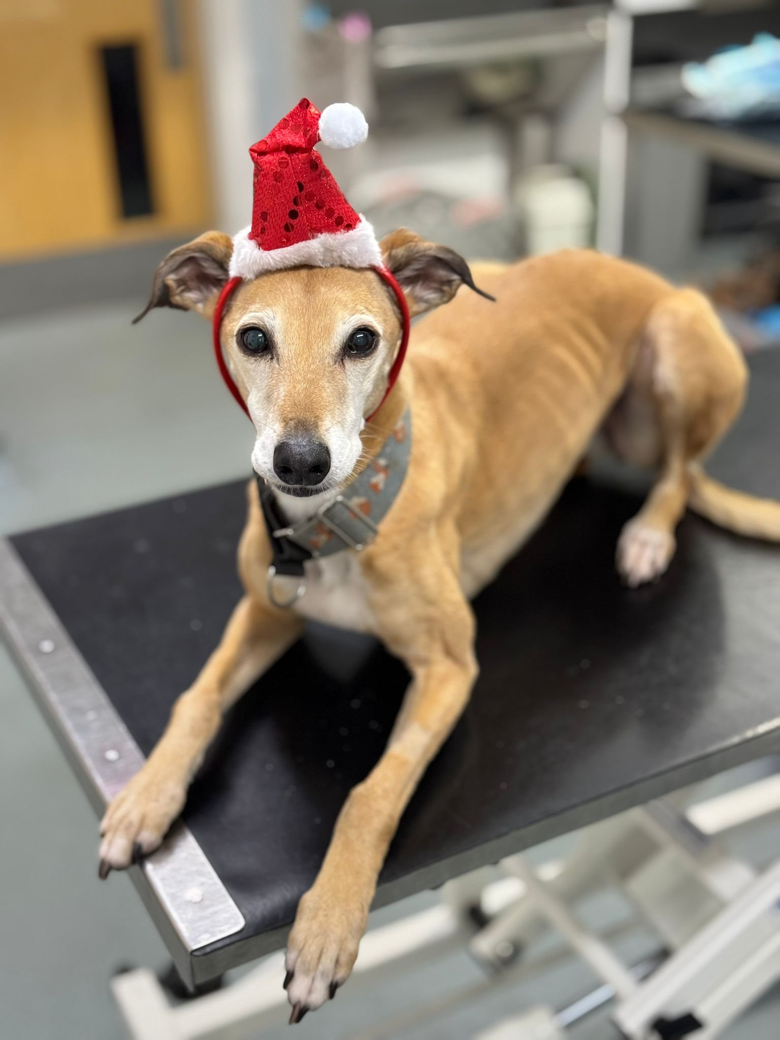 Soft tissue reconstruction case